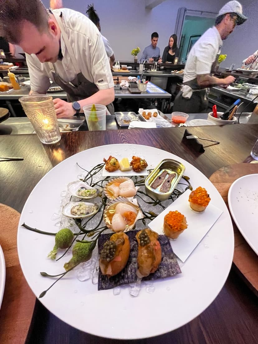 Catbird First Course