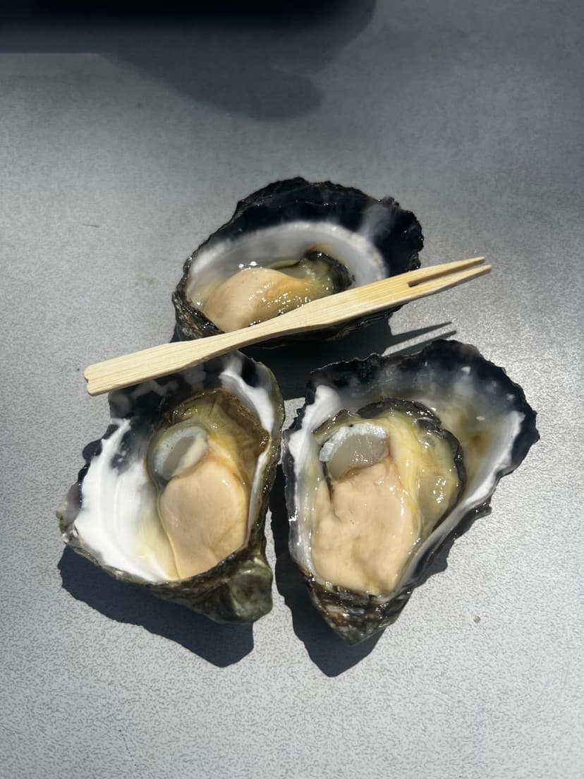 Oysters